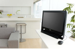 索尼 VAIO J115EC/Bi 啞光黑一體電腦 簡約設(shè)計(jì)下的高效計(jì)算體驗(yàn)